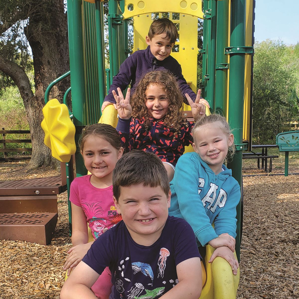 Children on slide at Folly Farm