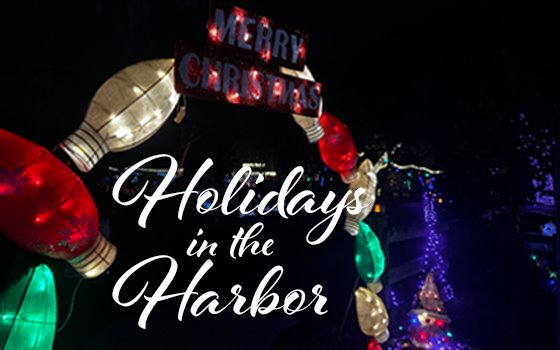 Holidays in the Harbor script text over a night time picture of holiday lights at Folly Farm