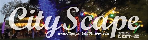 Holiday Lights at Folly Farm